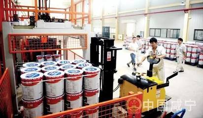 立邦涂料咸寧工廠首條生產(chǎn)線投產(chǎn)，年產(chǎn)值50億元項(xiàng)目啟航